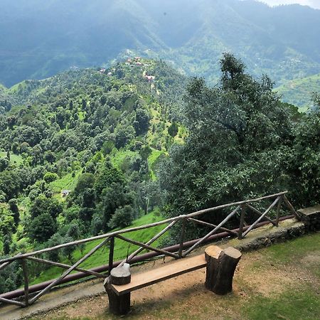 Hotel Woodsmoke Retreat Shimla Esterno foto