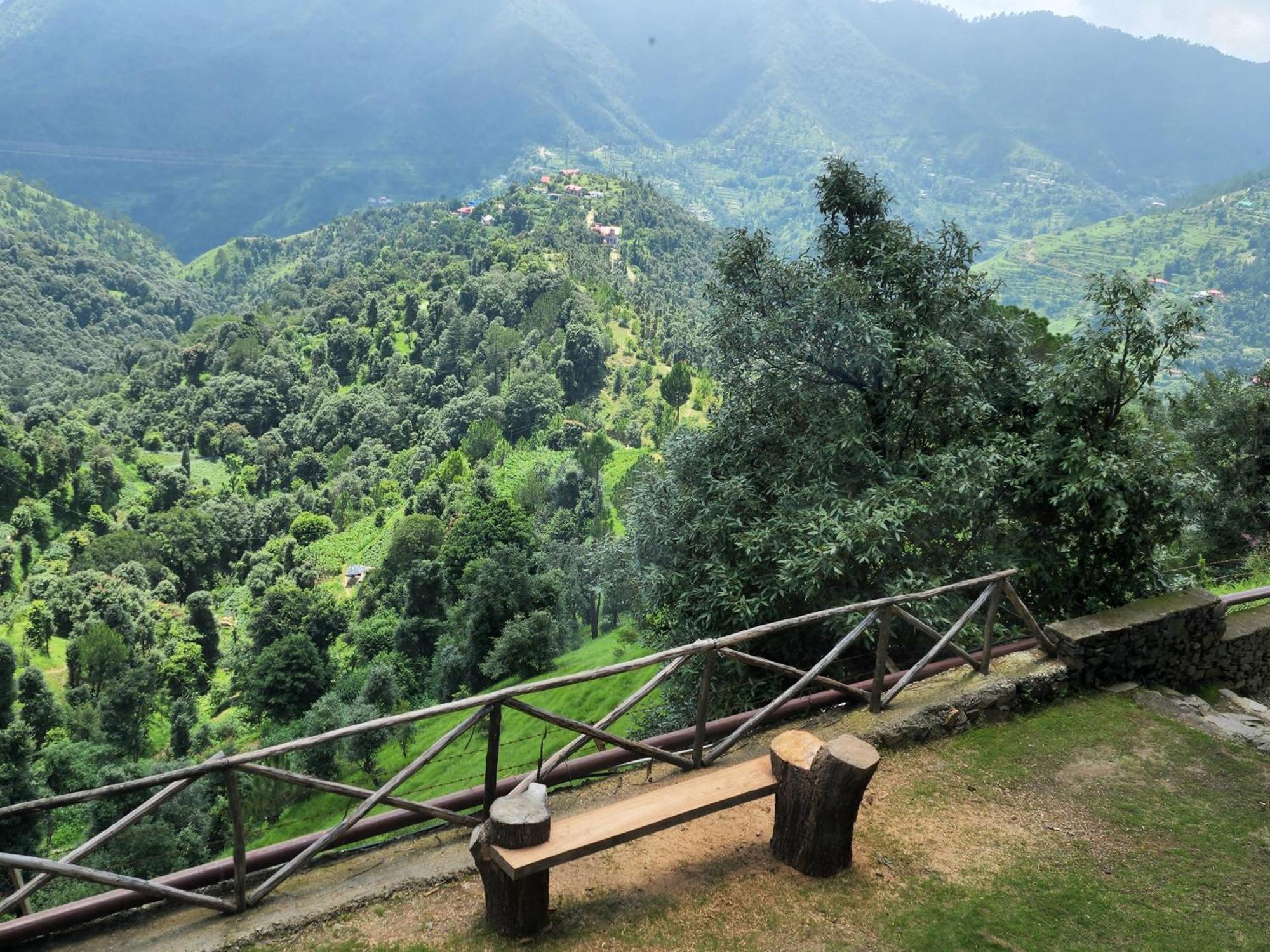 Hotel Woodsmoke Retreat Shimla Esterno foto
